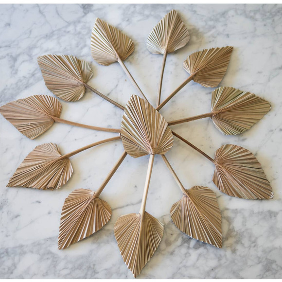 Dried Palm Leaves Pack of 5 Heart Oval Shape Dried Palm Spears - Picture 2 of 6